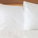 Holiday Inn Express Shanghai Pujiang By Ihg